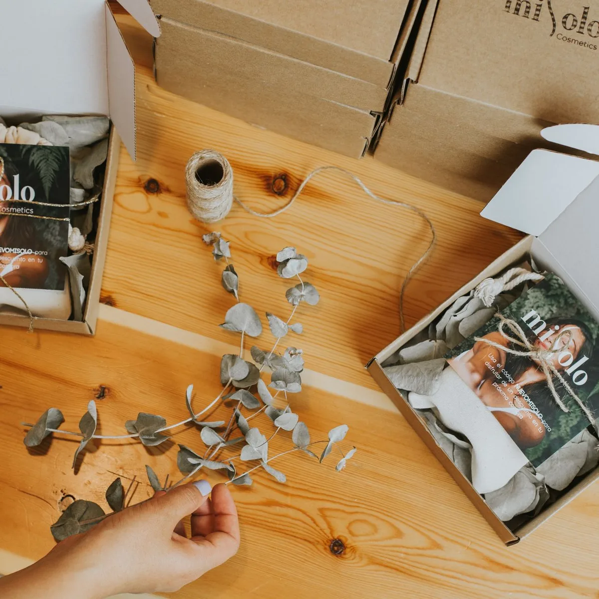 Wellness Recovery Set